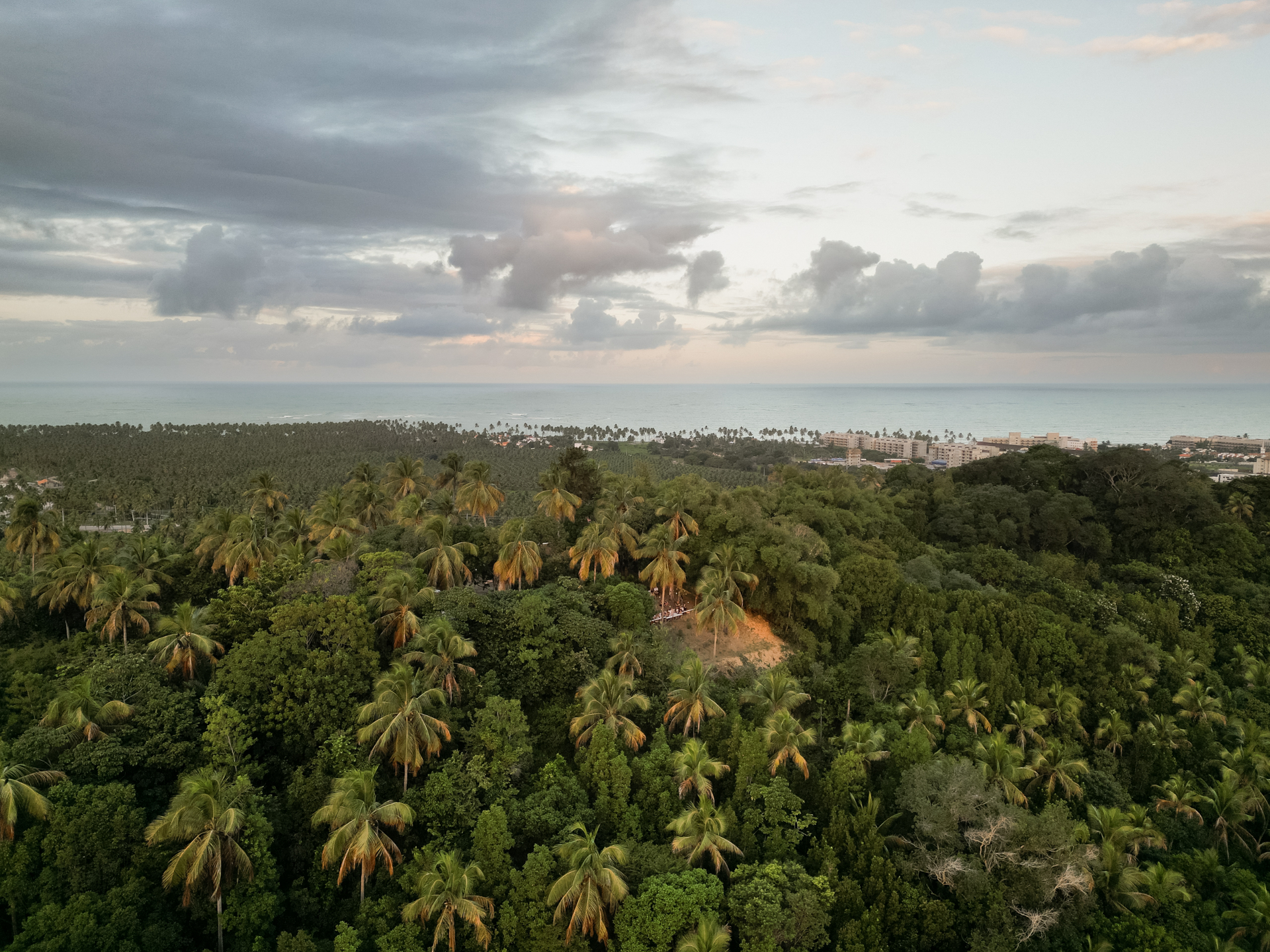 Vista do mirante para o mar, com o coqueiral em primeiro plano